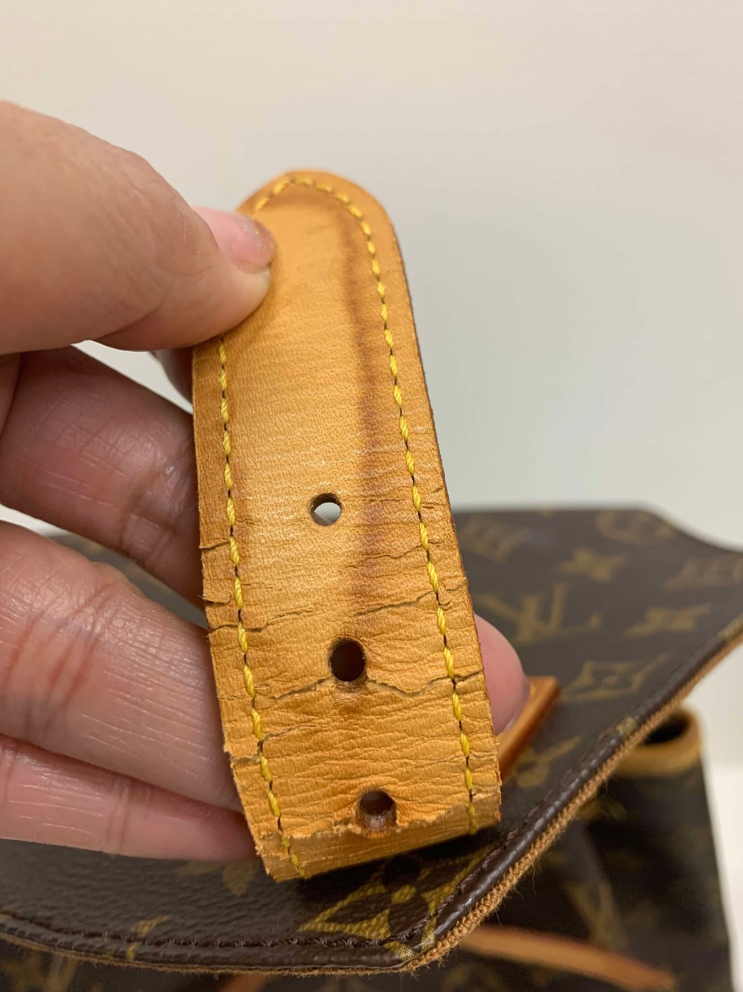 Authentic Louis Vuitton Montsouris GM