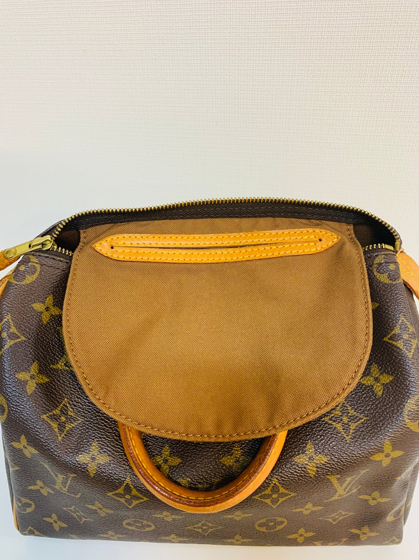 LOUIS VUITTON Speedy 25