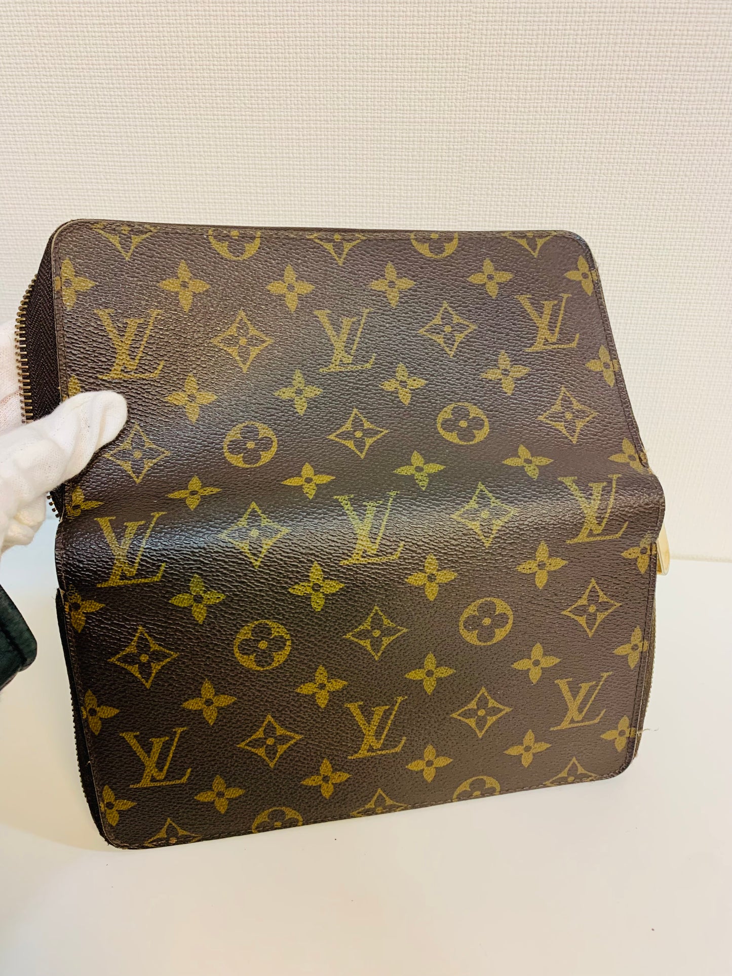 LOUIS VUITTON Daily Wallet Organizer Monogram