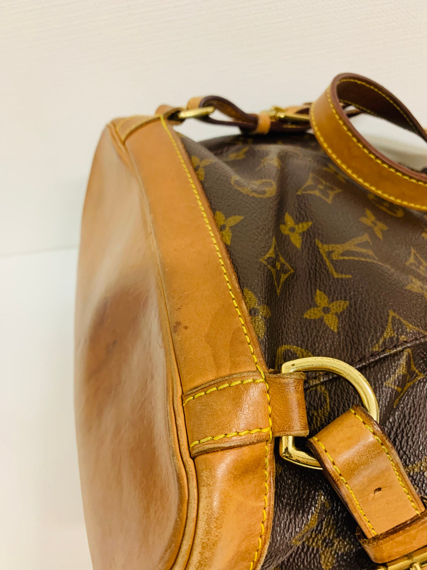 Louis Vuitton Monogram Montsouris MM