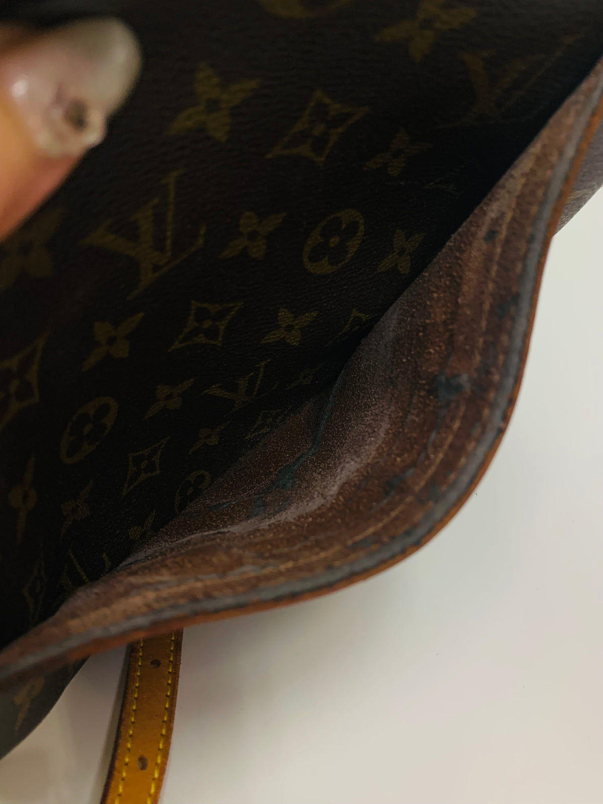 LOUIS VUITTON Monogram Blois