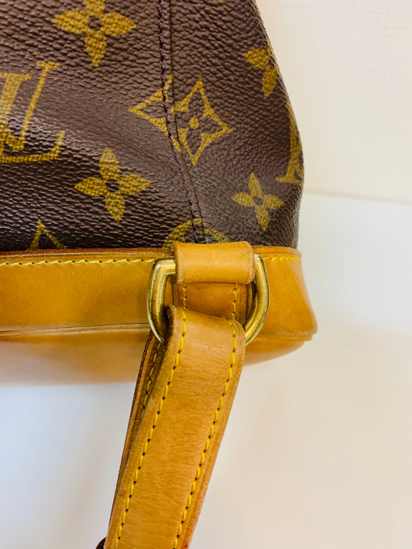 LOUIS VUITTON MONTSOURIES GM