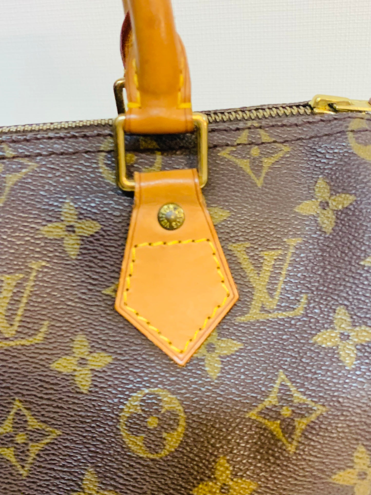 LOUIS VUITTON Speedy 25