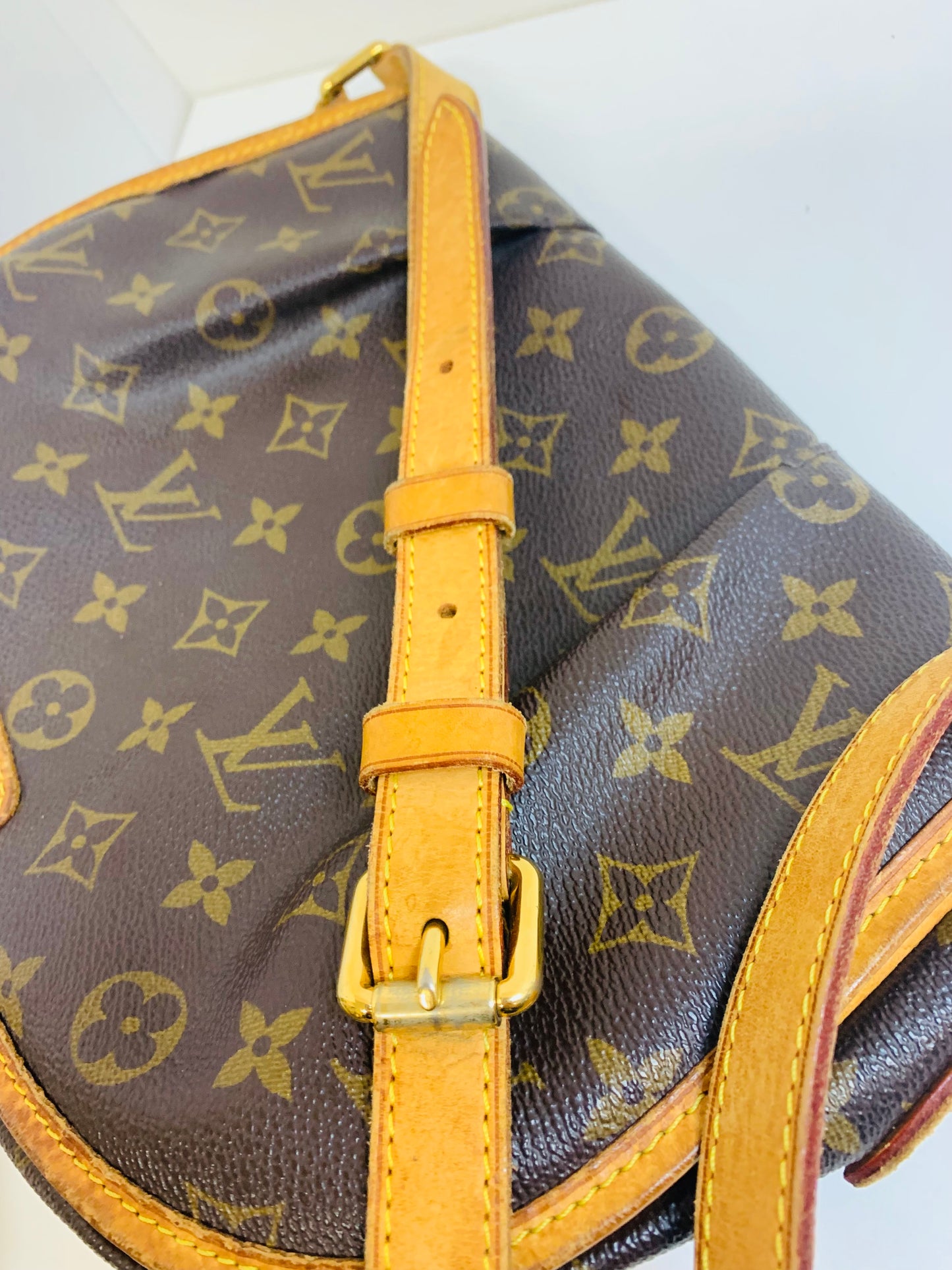 Louis Vuitton Menilmontant PM Crossbody