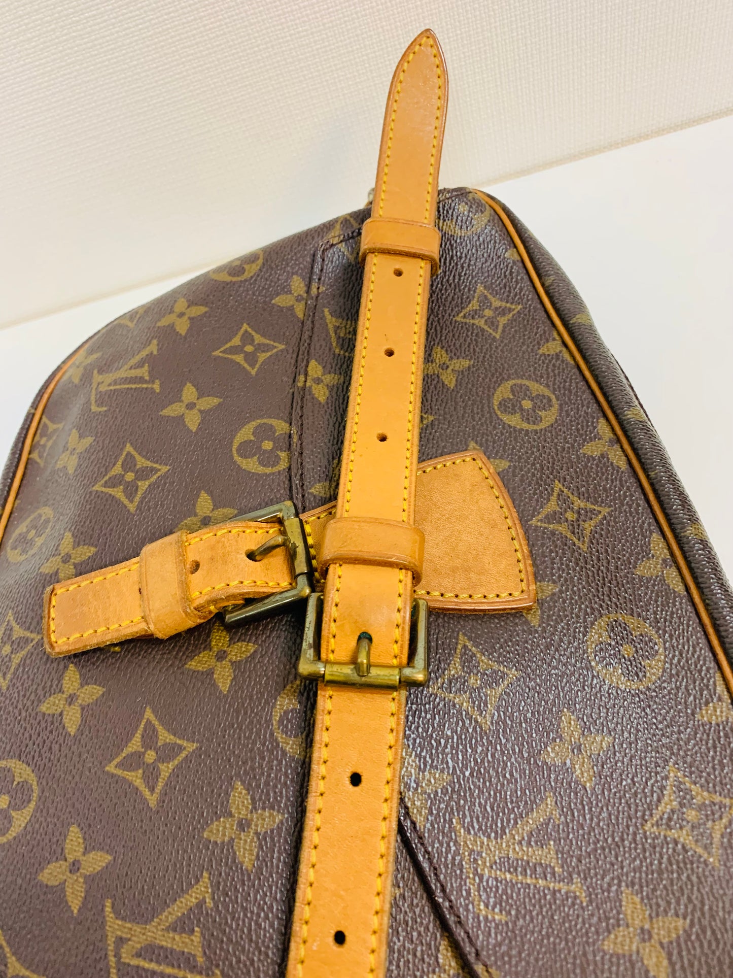 USED LOUIS VUITTON JEUNEFILE GM