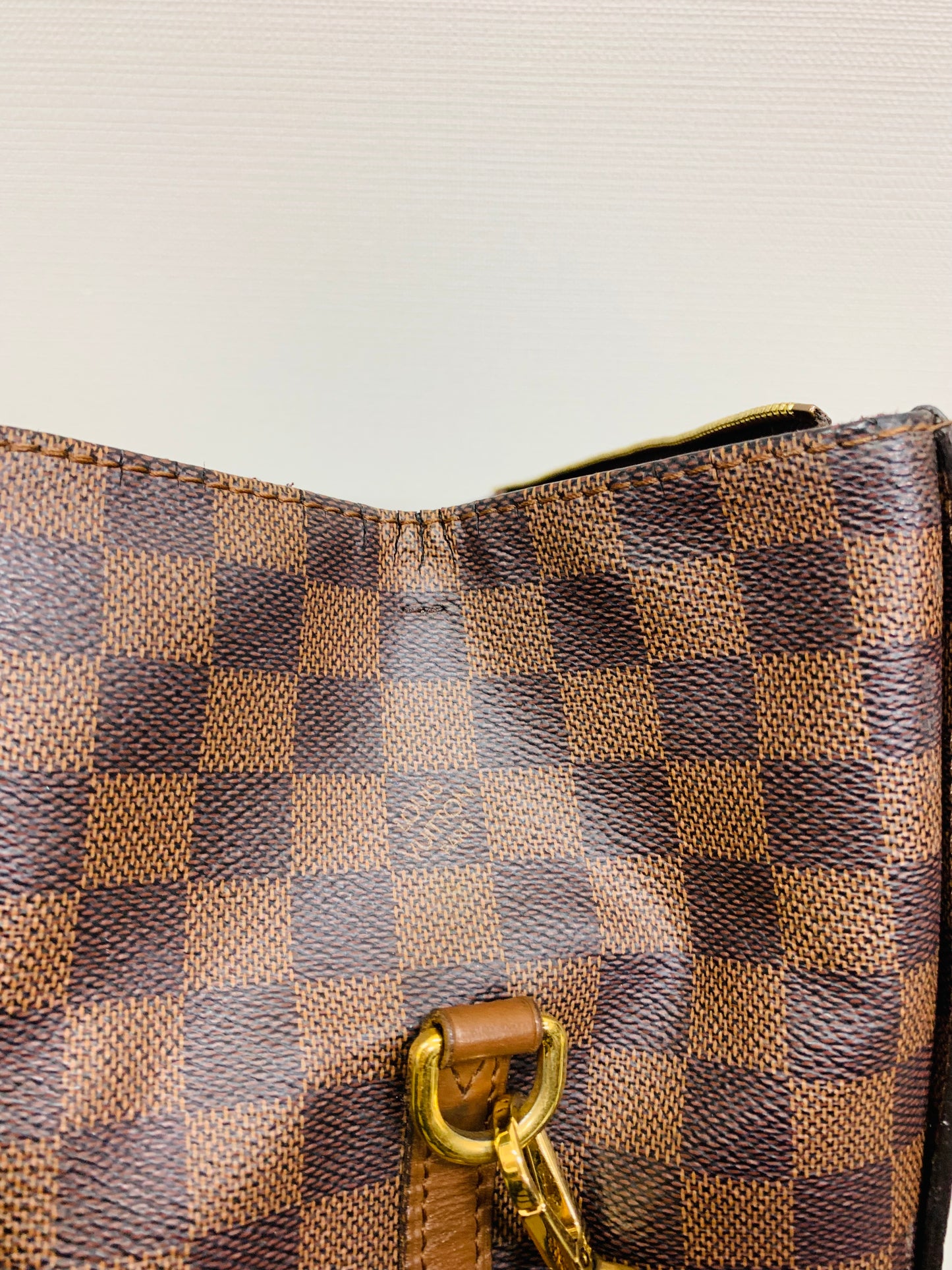 Used Louis Vuitton Greenwich 2way bag DE