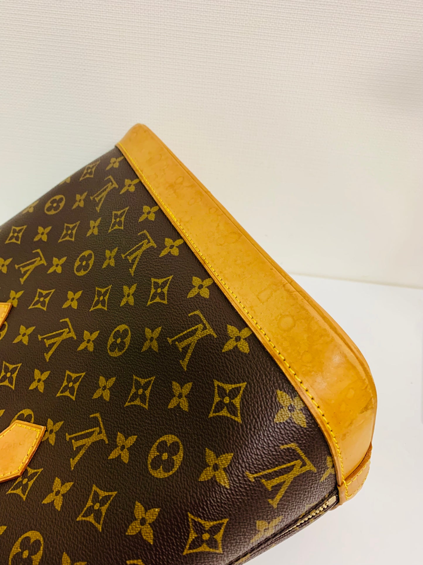 Louis Vuitton Monogram Alma PM