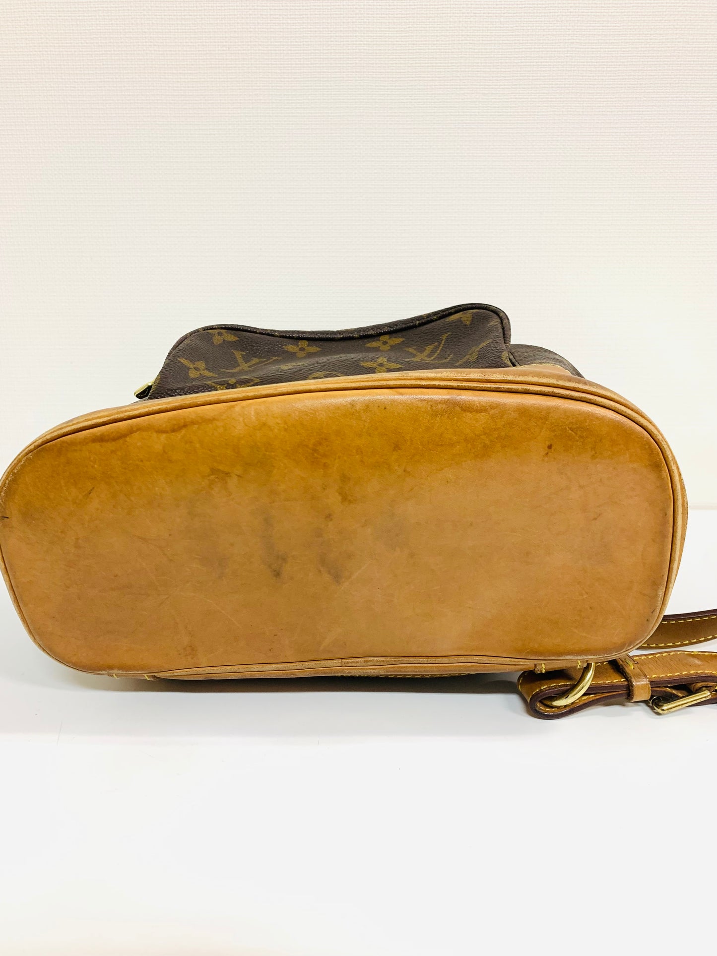 Louis Vuitton Monogram Montsouris MM