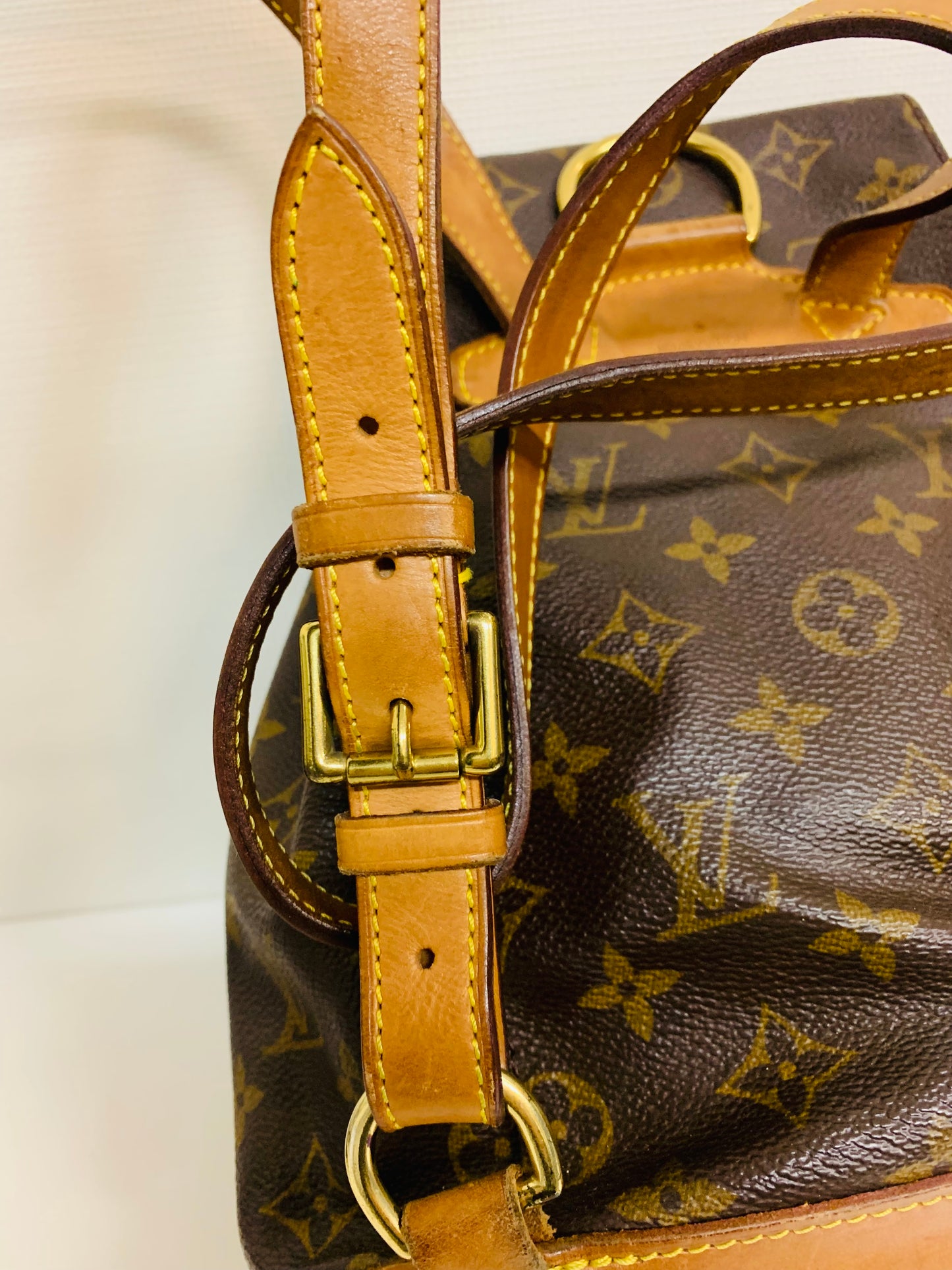 Louis Vuitton Monogram Montsouris MM