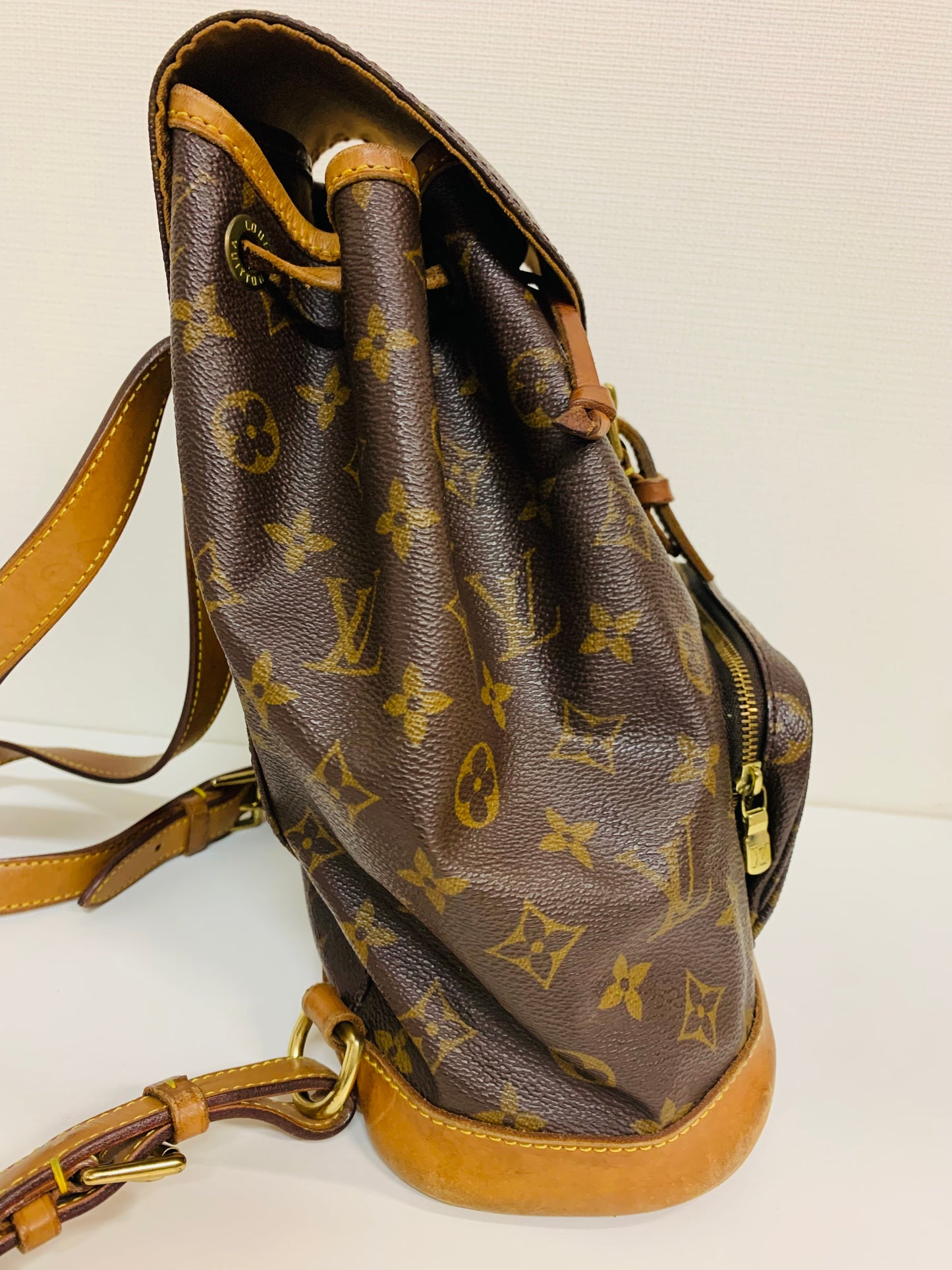 Louis Vuitton Monogram Montsouris MM