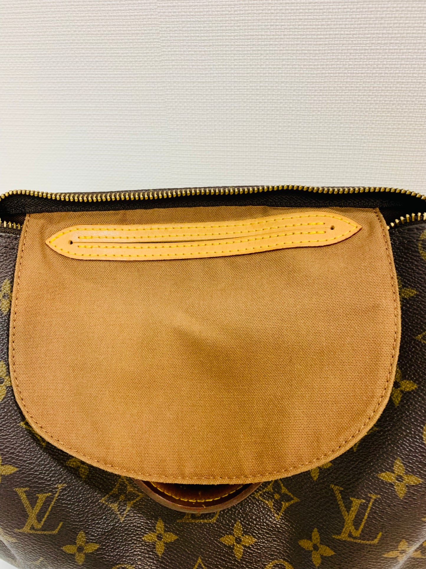 USED LOUIS VUITTON SPEEDY 25