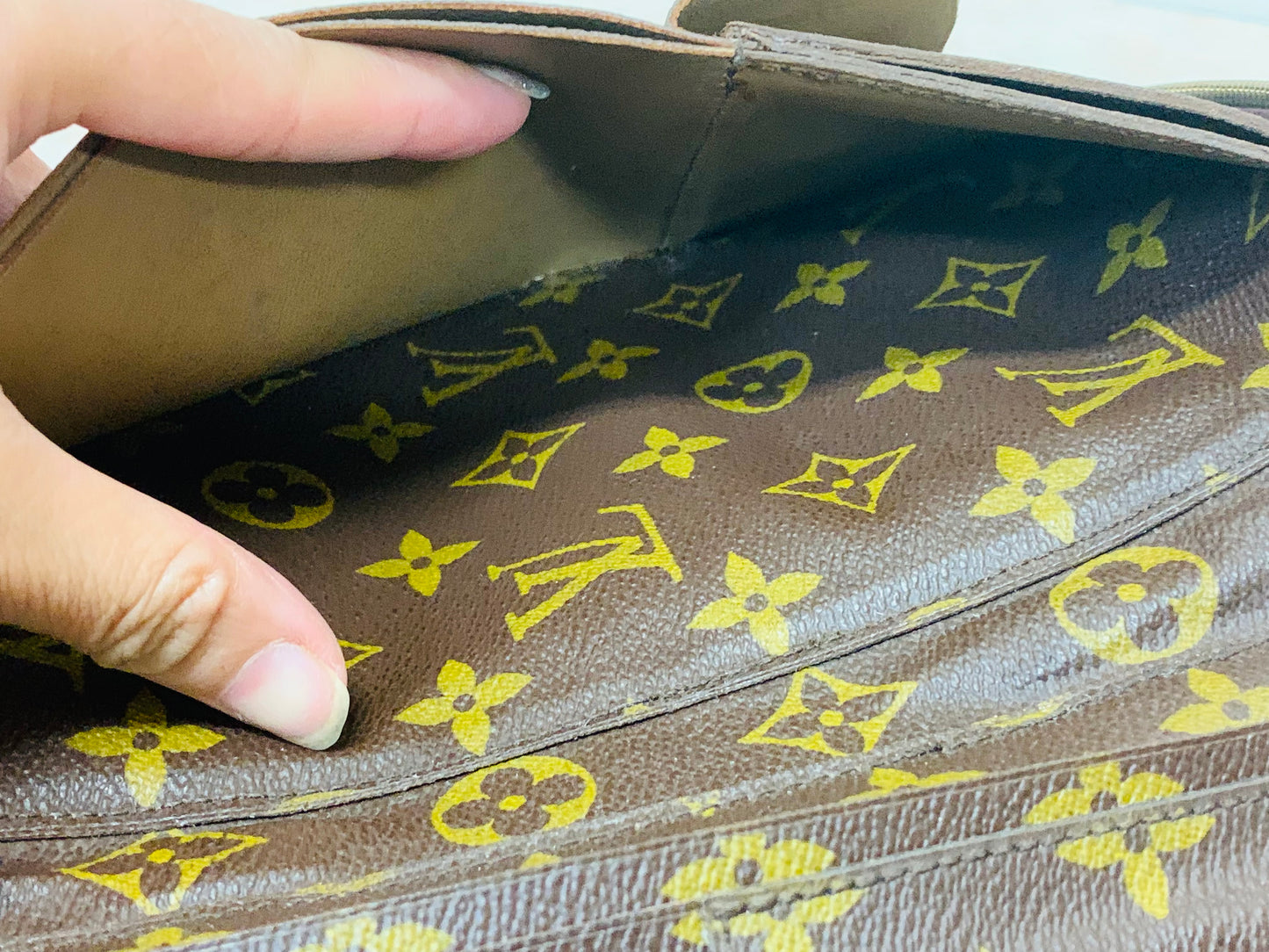 LOUIS VUITTON SCAPADE TRAVEL ORGANIZER