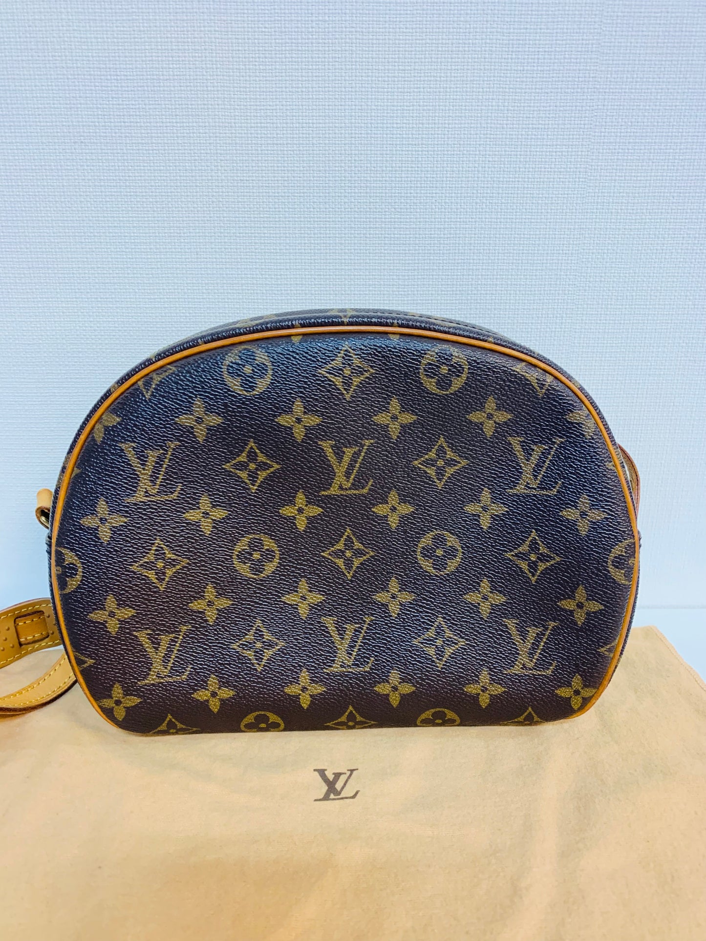 LOUIS VUITTON Blois