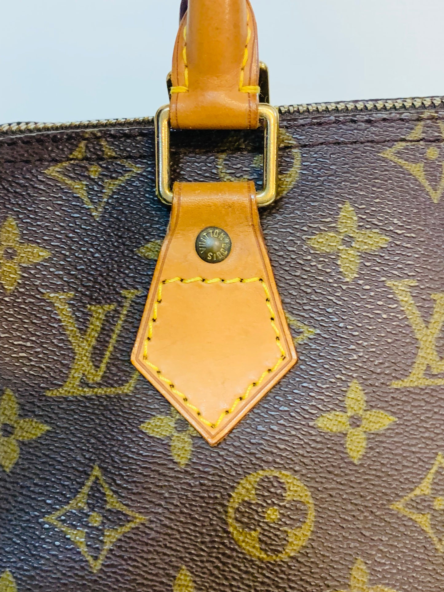 LOUIS VUITTON Speedy 25