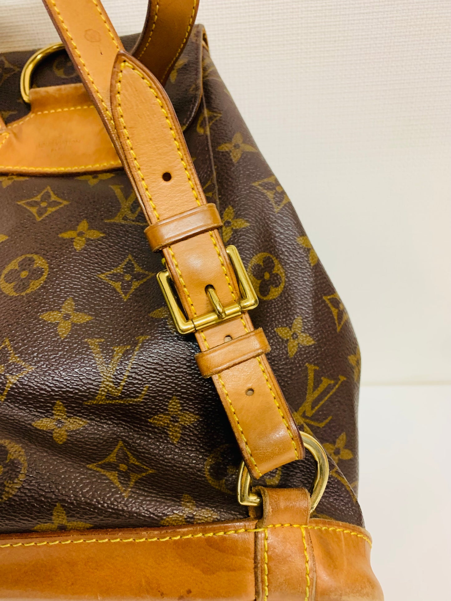 Louis Vuitton Monogram Montsouris MM