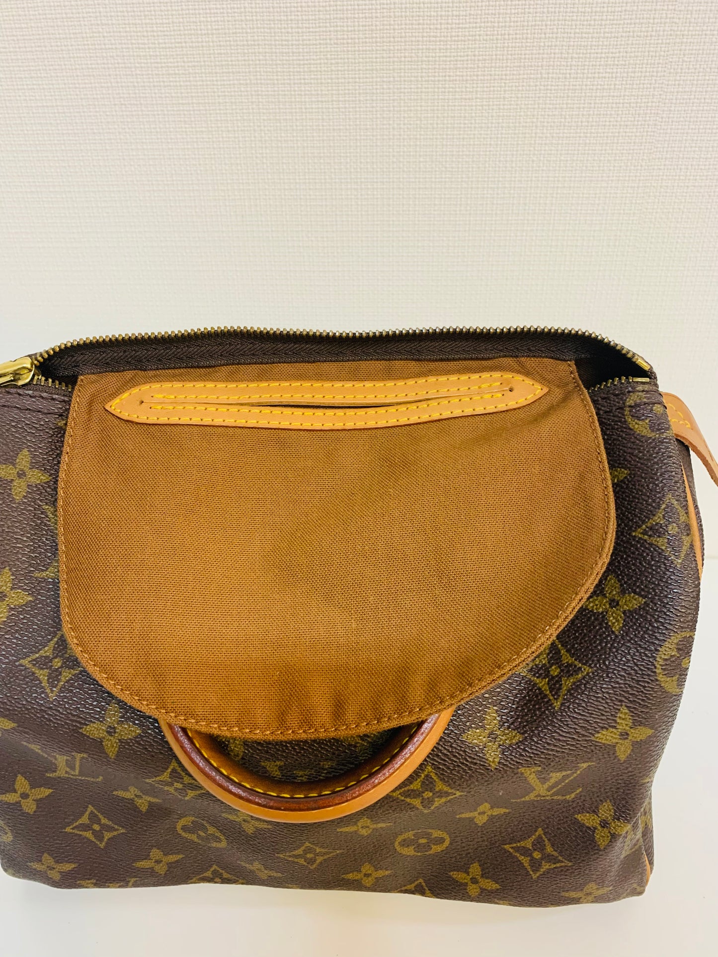 LOUIS VUITTON Speedy 25