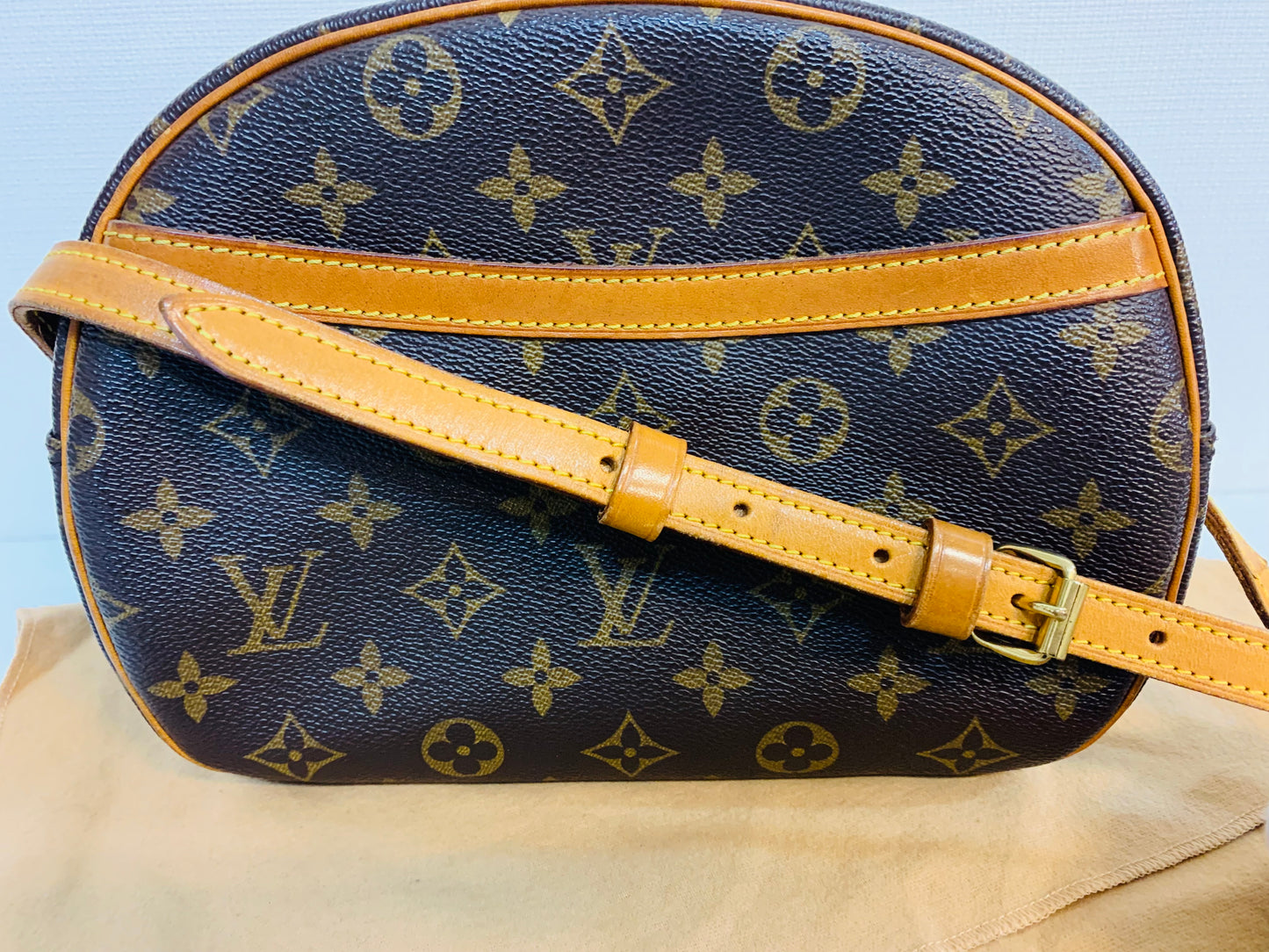 LOUIS VUITTON Blois