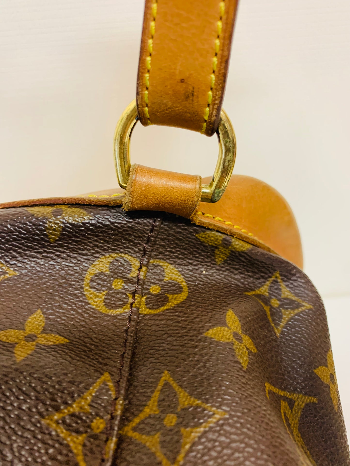 Louis Vuitton Monogram Montsouris MM
