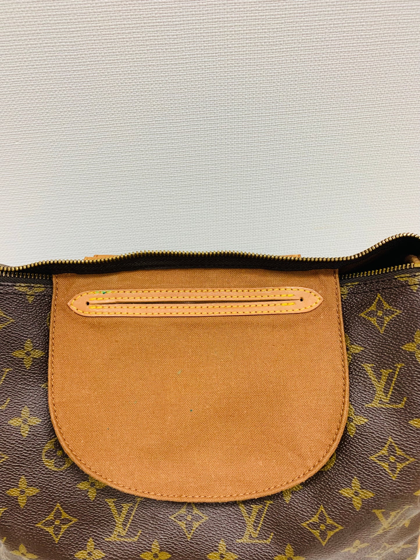 Authentic LOUIS VUITTON SPEEDY 30 (used)