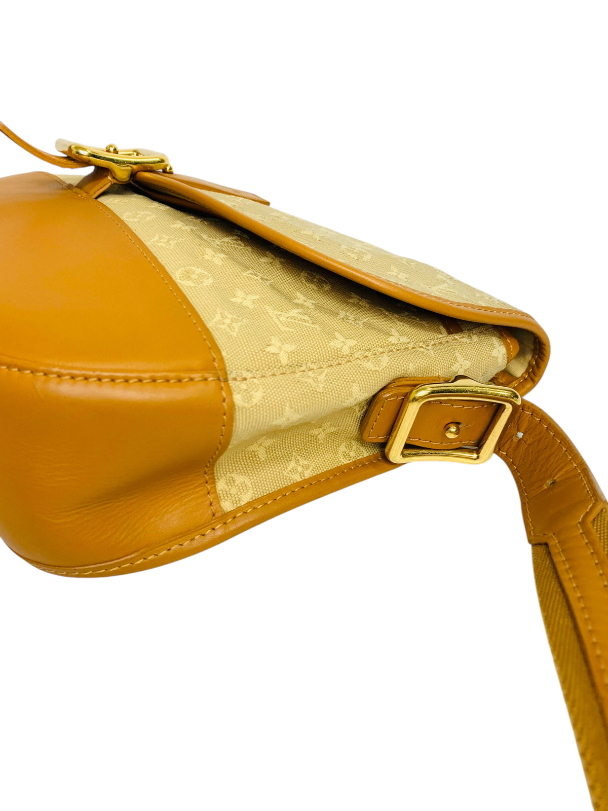 Louis Vuitton Monogram Mini Marjorie