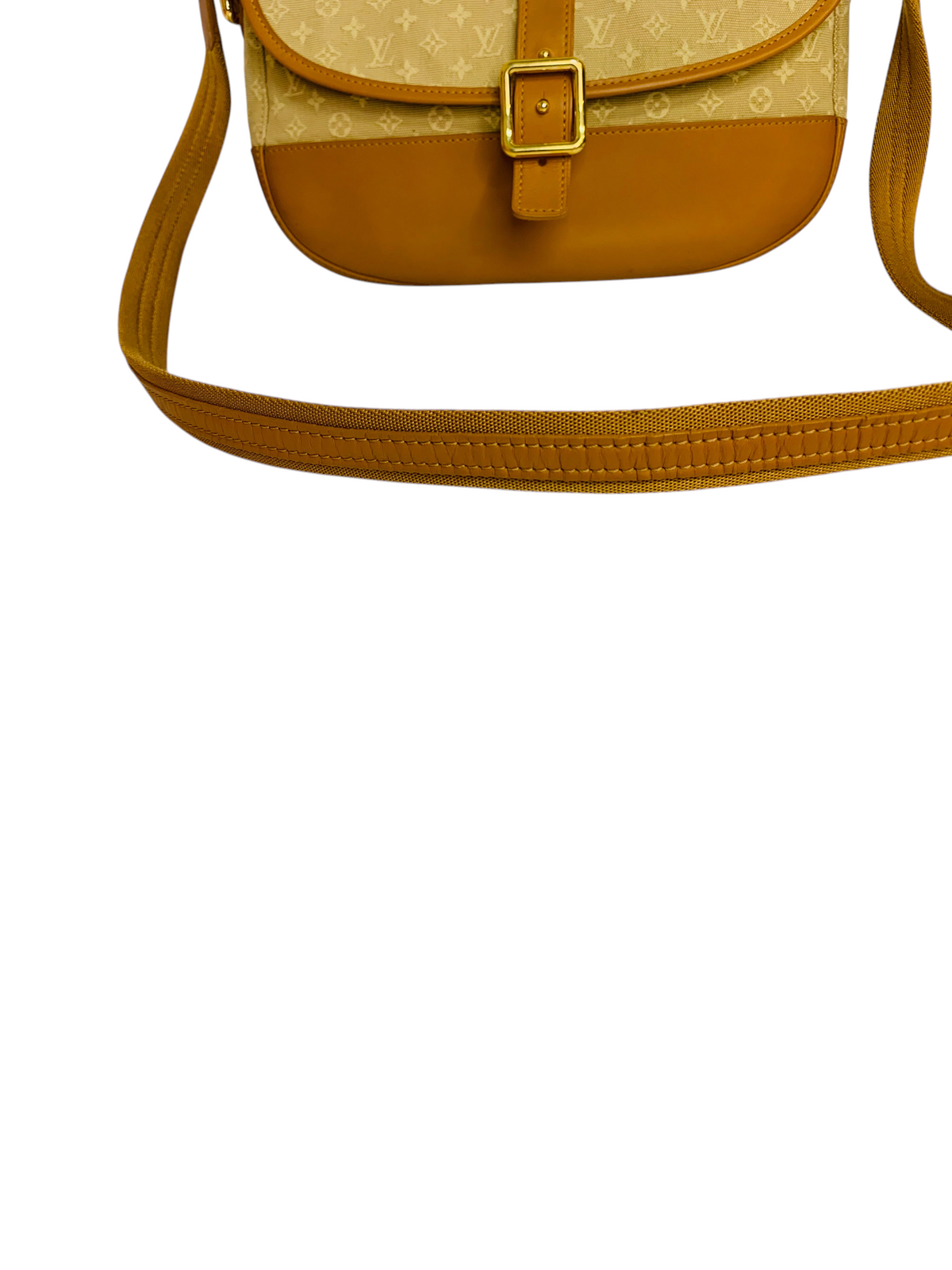 Louis Vuitton Monogram Mini Marjorie