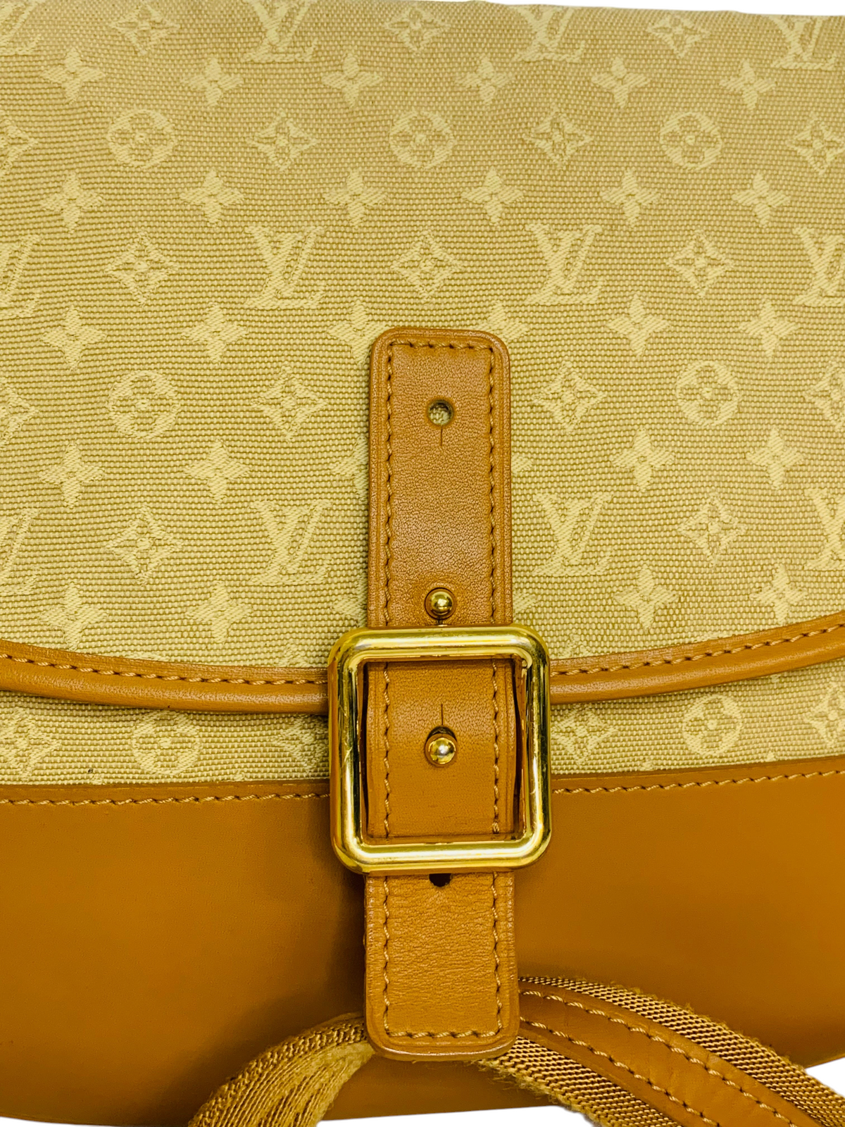 Louis Vuitton Monogram Mini Marjorie