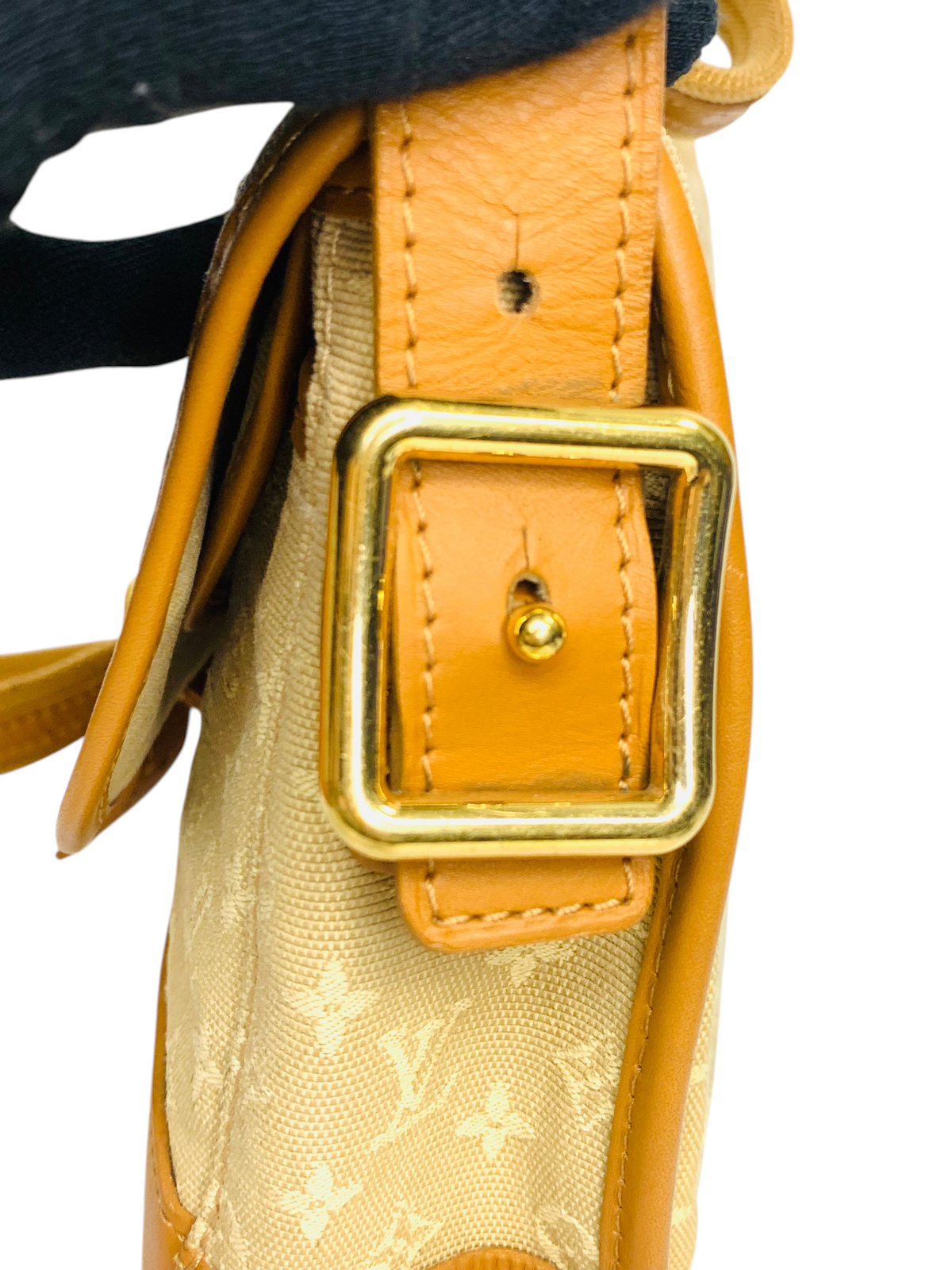 Louis Vuitton Monogram Mini Marjorie