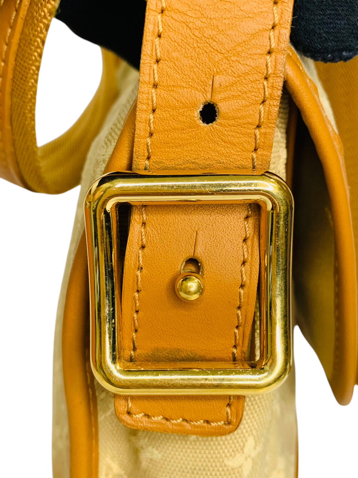 Louis Vuitton Monogram Mini Marjorie